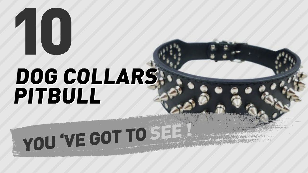 Dog Collars Pitbull // Top 10 Most Popular