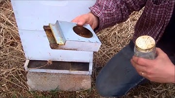 Feeding Bees in Spring