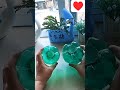 diy #ShimlaMirch #CapsicumPlant #DIYGamla #GardeningAtHome #HomeGarden #TerraceGarde #KitchenGarden