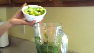 Healthy Avocado Green Chili Dip