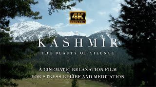 KASHMIR in 4K(The Beauty of Silence) - A Cinematic Relaxation Film for Stress Relief and Meditation. screenshot 3