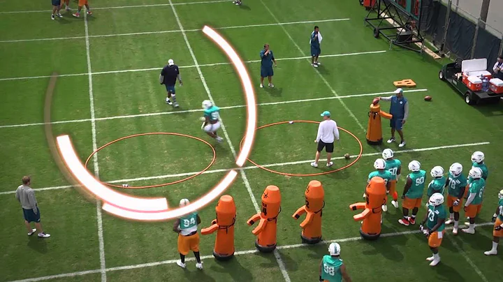 Miami Dolphins pass rush figure eight: Defensive linemen