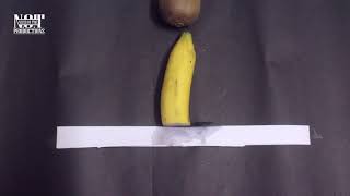 Hidden Patterns Inside Fruits cut, Stop Motion