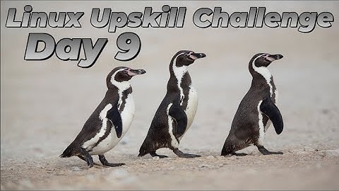 [Day 9] Port Security - Linux Upskill Challenge