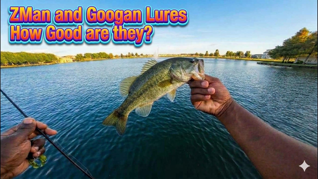 Googan vs  ZMan Lures Are They Worth the Hype? Pond Bass Fishing