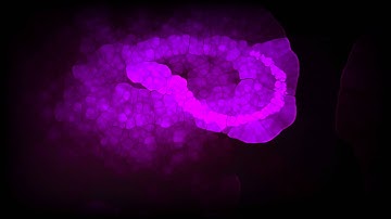Diffuse - Vulkan compute on PowerVR