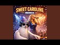 Sweet Caroline Remix