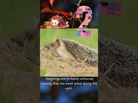 5 amazing facts
