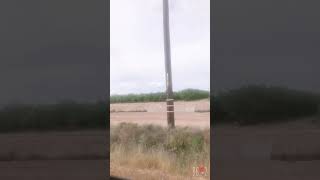 Muy Bonito