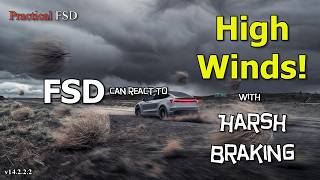 FSD's Harsh Braking for High Winds & Tumbleweeds! - HW4 v14.2.2.2