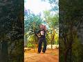 Tera Ho Jaun Dance cover 🫶 #terahojaun #dancecover #youtubeshorts #trendingshorts #viral