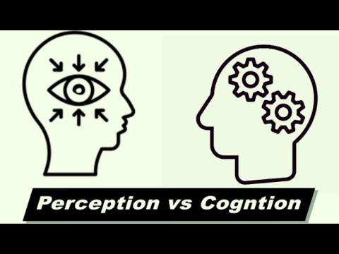 Vidéo: Différence Entre La Cognition Et La Perception