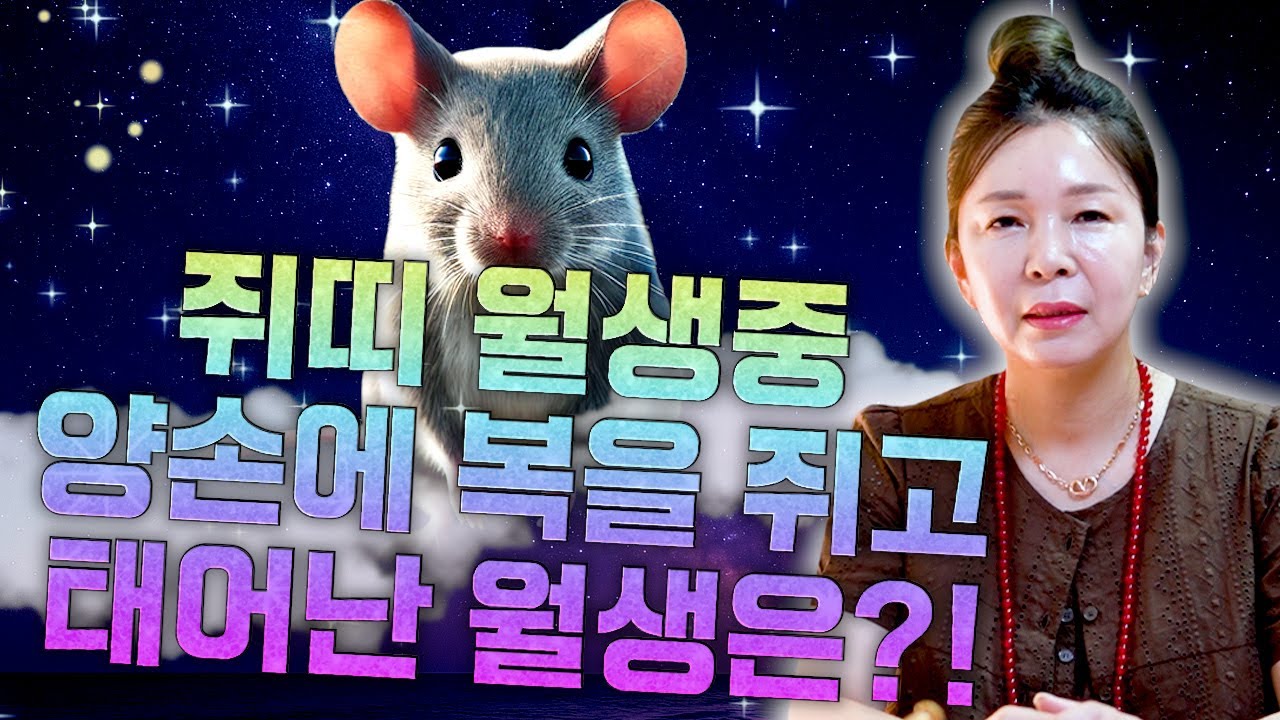 [쥐띠 평생운세] 태어난 월로 보는 쥐띠의 평생 운세! 쥐띠 중 복을 타고난 월생은?! 2025년 쥐띠에게 찾아오는 변화와 기회들!! 60년생 72년생 84년생 96년생 운세