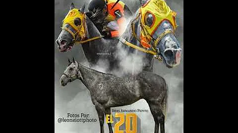 Cuadra Los Gavilanes.  EL 20.