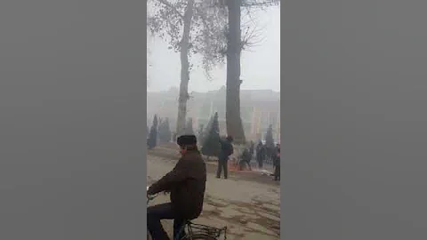Дерево упала на человека