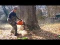 Extreme Dangerous Biggest Tree Felling ¦¦ Amazing Fastest Trees Cutting Down with Chainsaw Machine