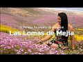 El paraíso escondido de Arequipa: Las lomas de Mejía