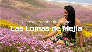 El paraíso escondido de Arequipa: Las lomas de Mejía