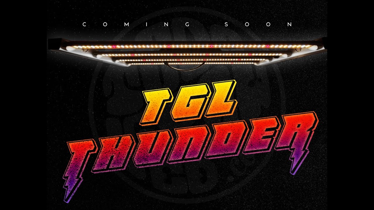 Las MEJORES LUCES para cultivar marihuana TGL THUNDER   The best lights for cannabis growing