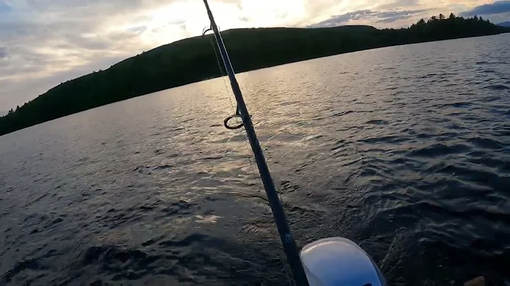 Big Fish Lost at The Boat in June of 2022