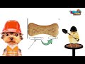 Measuring with Concrete Models Quiz