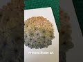 My First Youtube Shorts Featuring My Pressed Flower Hydrangeas 
