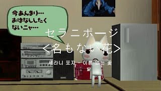 (가사해석) セラニポージ - 名もない花 l Serani Poji - Nameless flower l 세라니 포지 - 이름도 없는 꽃