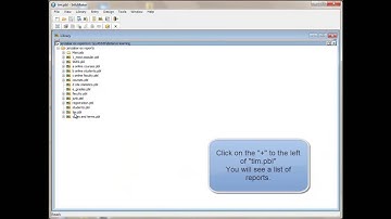 InfoMaker Training 101