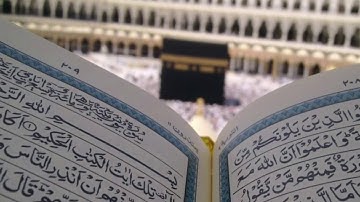 سورة النبأ  تلاوة رائعة للشيخ حسن صالح
