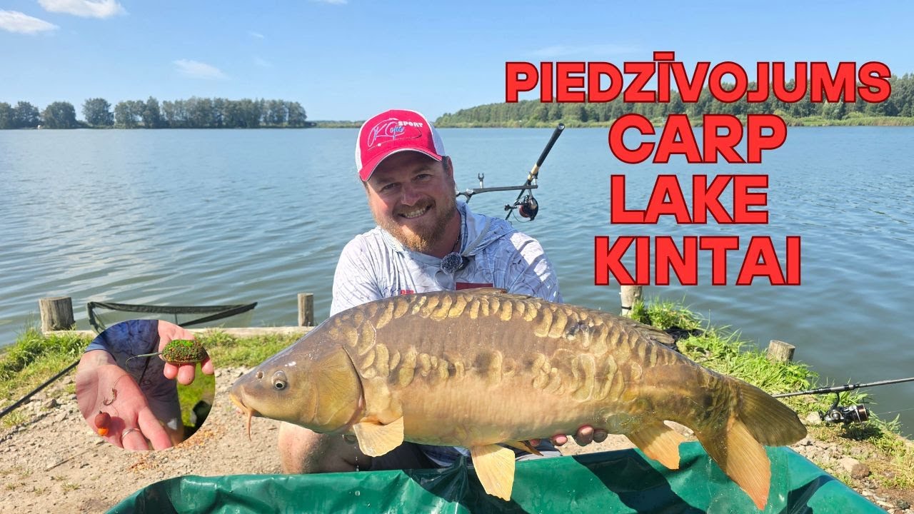 Carp Lake KINTAI. Karpas, Amūri, Rekordi, MethodFeeder,  Liels piedzīvojums , Pieredze un zināšanas!