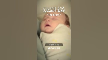 Surah Al-Qasas 13 | Hindi - Urdu Audio translation | سورة القصص #alqasas #hindi #urdu