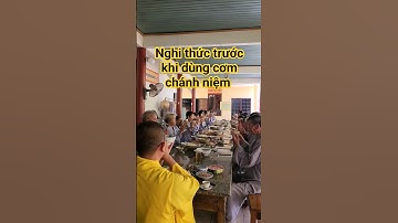 Nghi thức cử bát cúng dường trước khi dùng cơm chánh niệm| @ThichNhatDao @binhyenradio7 #nghile