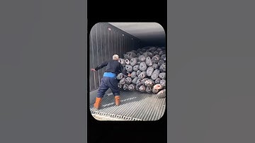Why This Man Panicked Unloading Tuna: The Terrifying Fish Landslide #shorts