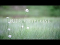 風待ち/GRAPEVINE/cover