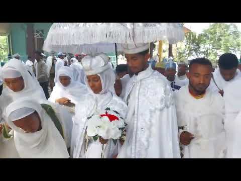 Faaruu Cidha Dn Alamaayyoo Fi Tssehay Irratti Gamtaan Faarfatamee