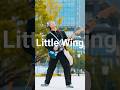 Jimi Hendrix/Little Wing弾いてみた！僕のギターの音をお楽しみください！！✨️🎸カメラマンはお父さん！@Takuriku_PAPA #littlewing