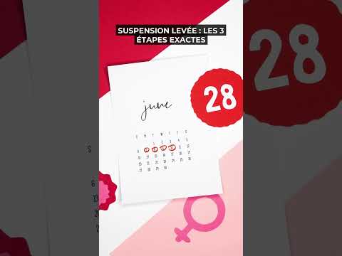 1. Comprendre les Raisons de la Suspension Initiale