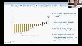 GCMY Webinar with Ivo Mulder, Head of Climate Finance, UNEP screenshot 1