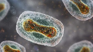 United States leads the world in confirmed monkeypox cases