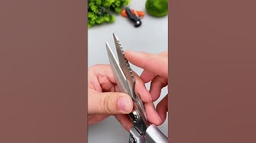 Multifunctional Scissors for Daily Use in Kitchen