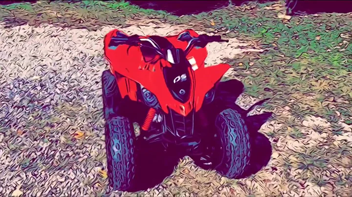 Thomass 2020 can am