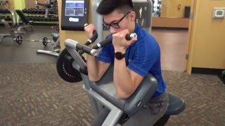 Anytime Fitness Hausman Bicep Curl Machine