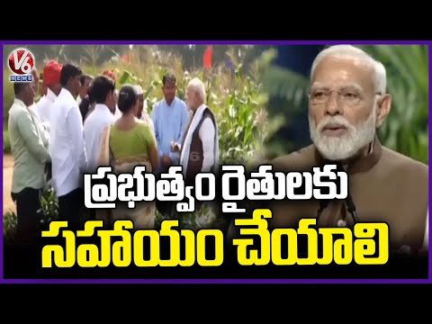 PM Modi Inaugurates "Dhanya Krishi Yojana Program" At Indian Agricultural Research Institute | V6 - V6NEWSTELUGU