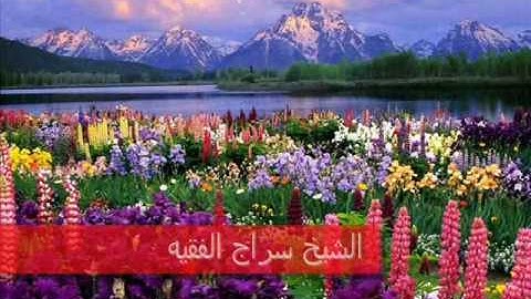 تلاوه مؤثره لشيخ سراج الفقيه.wmv
