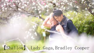 【Shallow】Lady Gaga, Bradley Cooper ［TOKYO BACHATA 01］Bachata Remix DJ Tronky【Sony α 7 IV, FE 85mm】