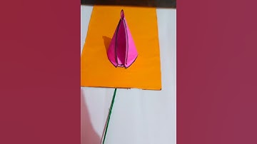 Cone Net // T.L.M # Maths Model //3D shapes //#tlm #shortsfeed #math #mathmodel