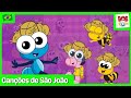 Canções de São João | Bob Zoom | Músicas Infantis @BobZoom