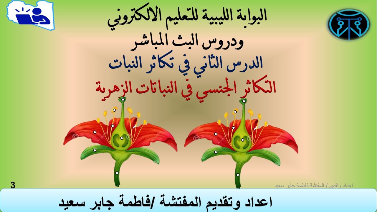 التكاثر الجنسي في النبات