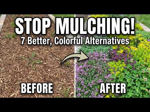 7 Groundcovers That Replace Mulching And Look Better Doing It 😱