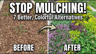 7 Groundcovers That Replace Mulching And Look Better Doing It 😱